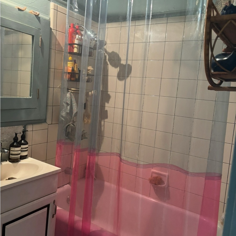 Quiet Town Sun Shower Orient Dream Shower Curtain -Pink + Blue